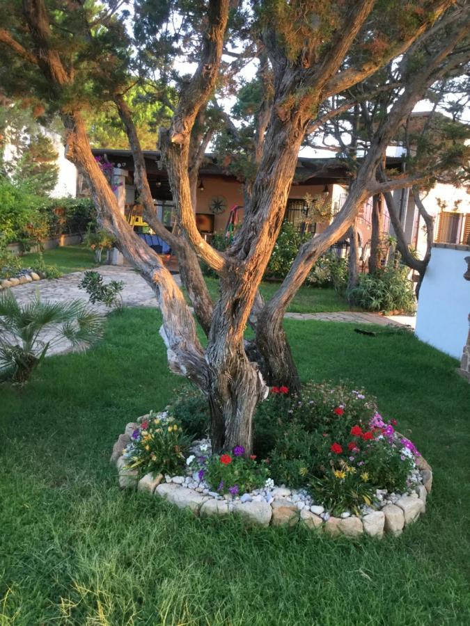 Villa Edo Cala Liberotto Εξωτερικό φωτογραφία