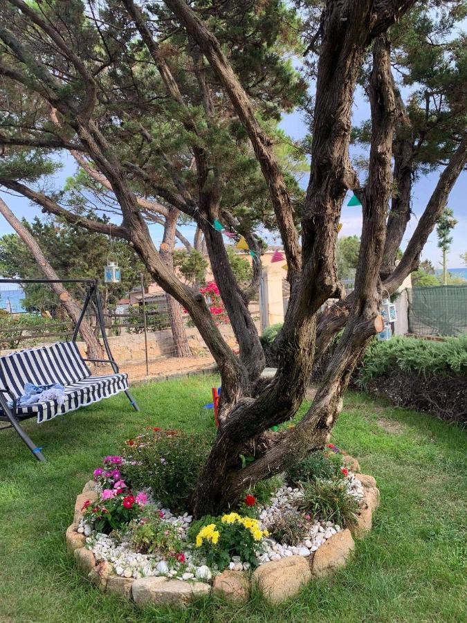 Villa Edo Cala Liberotto Εξωτερικό φωτογραφία