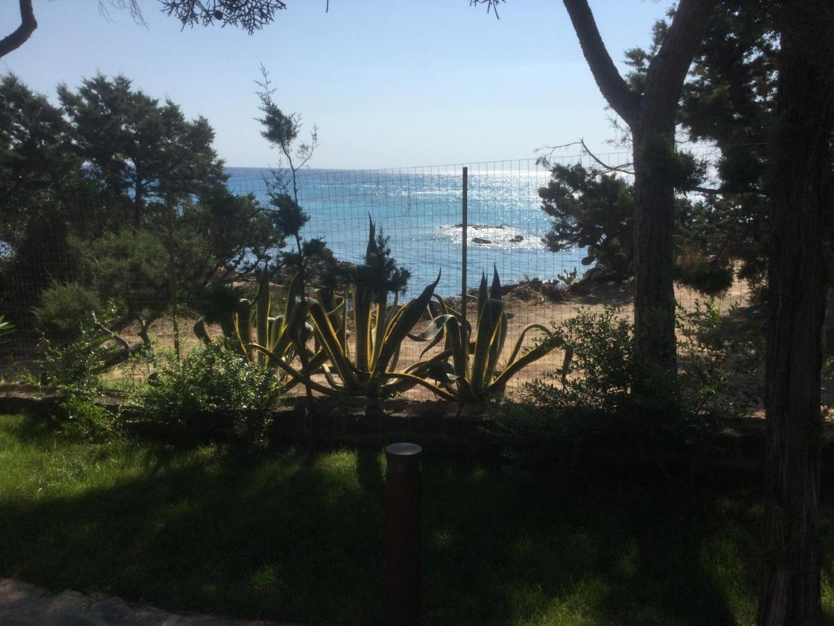 Villa Edo Cala Liberotto Εξωτερικό φωτογραφία